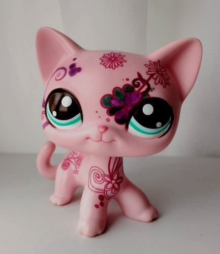 Jumbo lps kurzhaar katze - jumbo,