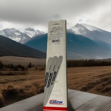 USA OREGON Schiene / Schwert , 16-10-N156-RK , 40CM  , 1,3 Mm , 56 Treibglieder 