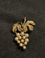 Kleine Brosche Weintrauben