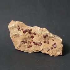 Schön ausgebildete Vanadinit-Kristalle xx auf Buntsandstein – Mibladen Marokko