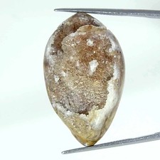 55.10Cts Natürlich Fossil