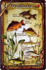 Blechschild “Friedfische