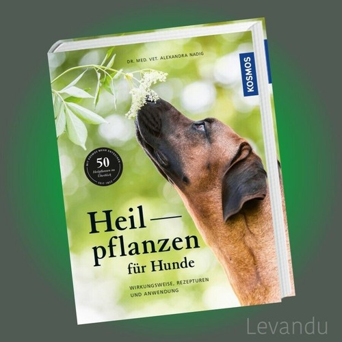 Heilpflanzen für hunde - heilpflanzen,