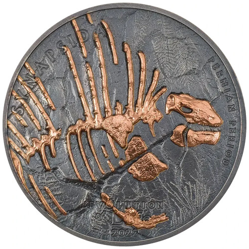 Silbermünze synapsida - silbermünze,