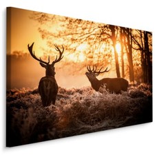 CANVAS Leinwand Bilder XXL