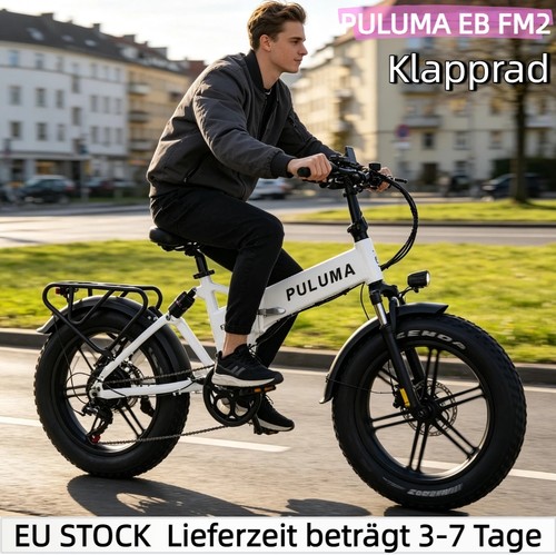 Fat tire elektrofahrrad - tire,