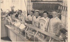 Photo, Freiberg, 8 x 13 cm, Fleischerei Lippmann