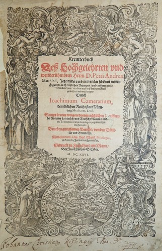 Botanik kräuter buch - botanik,