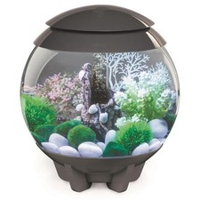 Biorb nano aquarium - biorb, nano-aquarium