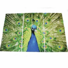 Leinwandbild Wandbild Bild 3tlg. Pfau