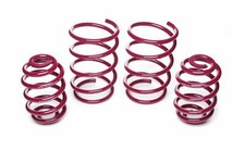 Vogtland lowering springs 30