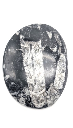 Sm0123 natürlicher - sm0123,