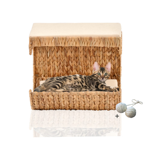 Katzen liegemulde cäsar - liegemulde,
