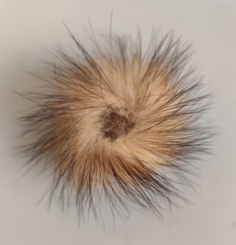 Braune pelzbrosche - braune,