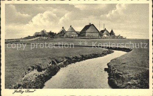 Hallig oland - hallig,