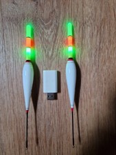 Schwimmer  Set LED Licht Akku Usb Ladegerät 10g Angeln Nachtangeln 