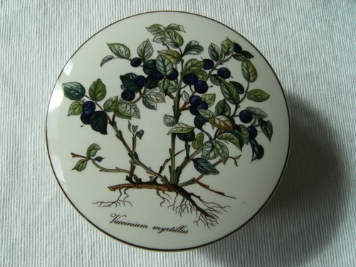 Villeroy boch botanica - &,