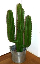 Künstlicher Säulenkaktus