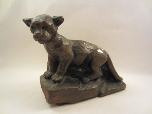 Panther puma baby tiger - panther,
