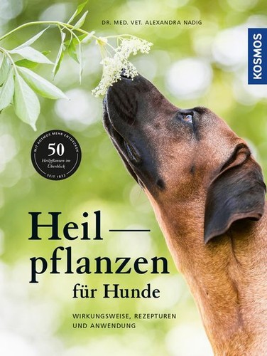 Heilpflanzen für hunde - heilpflanzen,