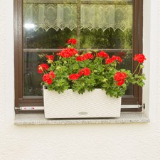 Blumenkastenhalter Typ Lechuza
