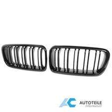 Kühlergrill Grill Doppelsteg