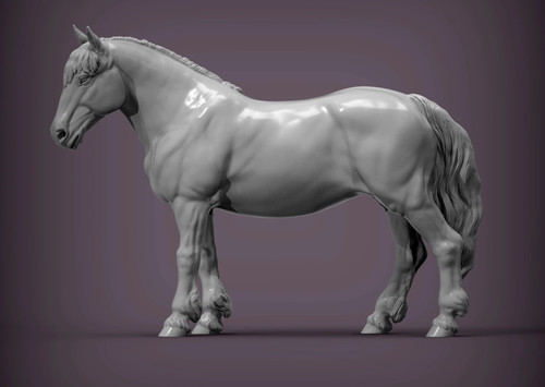 Percheron pferd stehende - pferd, (stehende