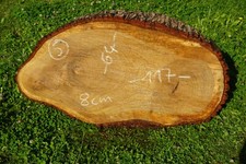 Baumscheibe Holzscheibe