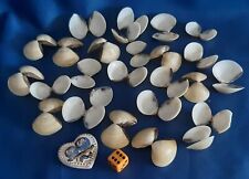 25 Natur Herz Muschel Schalen Nautik Maritim Deko Herbst Basteln A