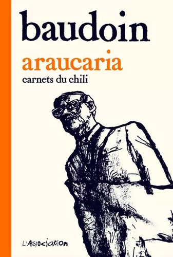 Araucaria edmond baudoin - edmond,