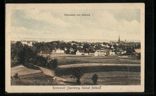 Ansichtskarte Ahlbeck, Panorama mit Meeresblick 1924 