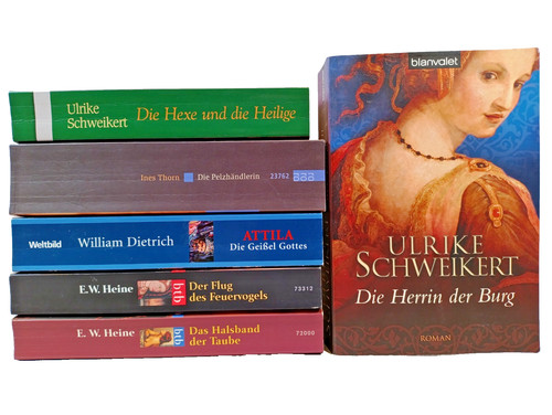 Historische romane buchpaket - historische,