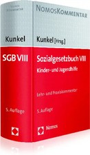 Sozialgesetzbuch VIII