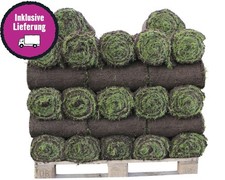 Rollrasen Sport & Spiel Bestellmenge 50 m² tagesfrisch geschält, strapazierfähig