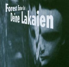 Forest enter exit mindmachine - ,