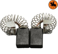 Carbon Brushes PROTOOL DRP 20