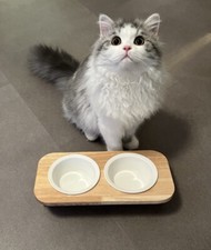 Katzen & Klein Hunde Napf / Keramik/ Bambus / 2 er Schüssel