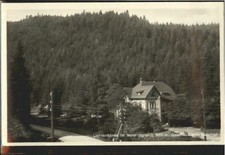 Sormitzgrund Lichtentanne