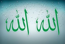 2x aufkleber wandtattoo