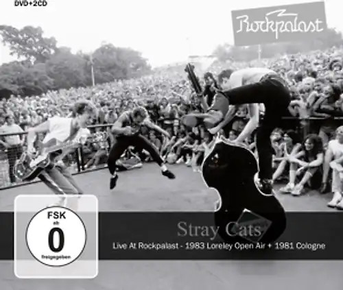Stray cats live at - stray,
