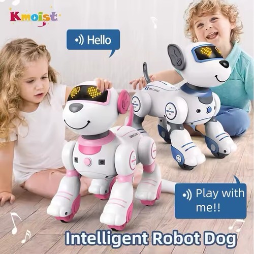 Intelligenter roboter hund - rc,