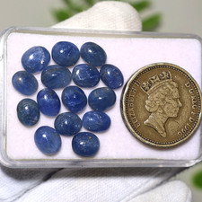 15 Stck. Natürlicher Blauer