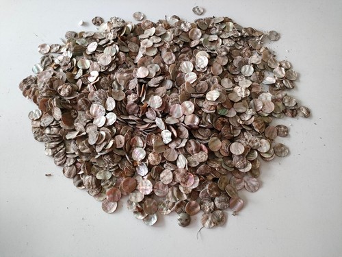 2kg runde perlmutter scheiben - runde,