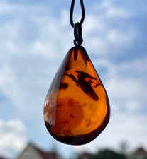 Echter Bernstein Anhänger