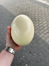 NOTVERKAUF!!! Straußenei