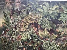 Originalgrafik Flora