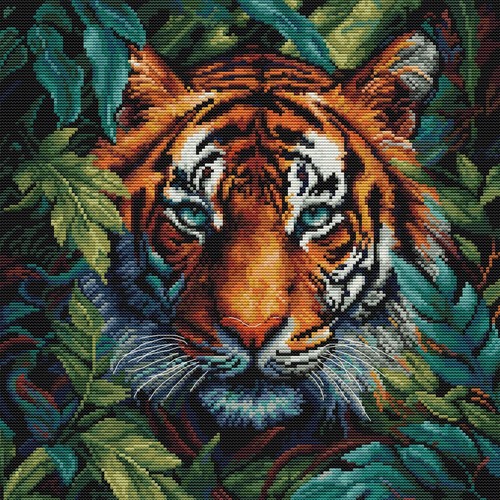 Tiger des dschungels - des,