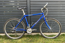 Giant Mountainbike Boulder 510 Sports 21-Gang Shimano Top Zustand