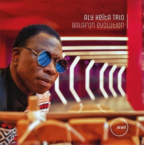 Aly keita balafon evolution - aly,
