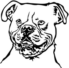 AMERICAN BULLDOG Aufkleber -